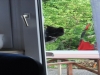 Katze schaut rein